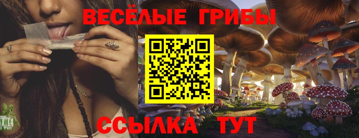 Богородск  Галлюциногенные грибы MAGIC MUSHROOMS  наркотики  Вход с VPN 